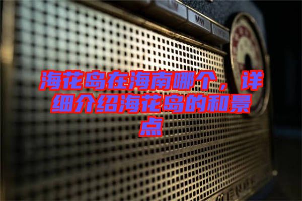 海花島在海南哪個(gè)，詳細(xì)介紹?；◢u的和景點(diǎn)