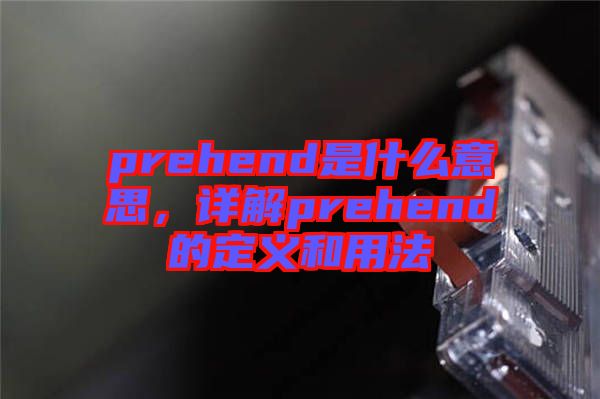 prehend是什么意思，詳解prehend的定義和用法