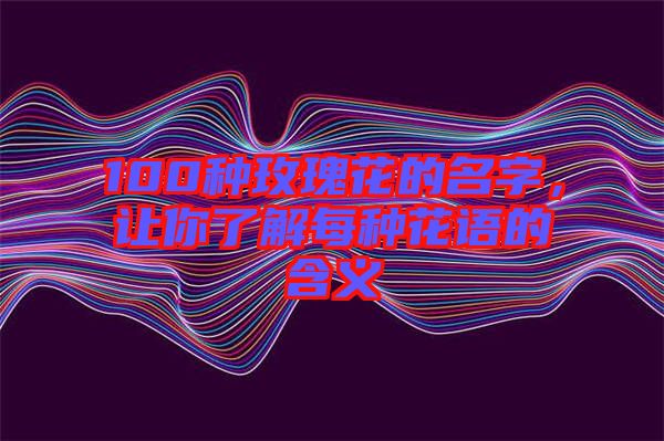 100種玫瑰花的名字，讓你了解每種花語(yǔ)的含義