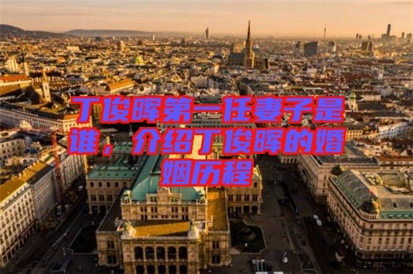 丁俊暉第一任妻子是誰，介紹丁俊暉的婚姻歷程