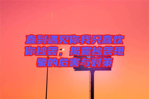 直到遇見你我只喜歡你抄襲，揭露抄襲現象的危害與對策