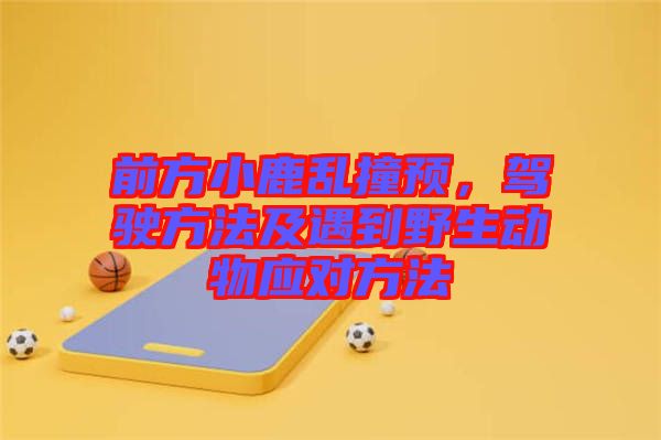 前方小鹿亂撞預，駕駛方法及遇到野生動物應對方法