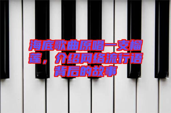 海底歌曲原唱一支榴蓮，介紹網(wǎng)絡流行語背后的故事