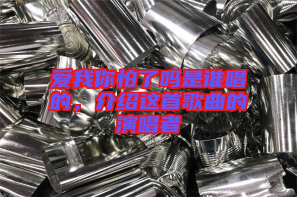 愛我你怕了嗎是誰(shuí)唱的，介紹這首歌曲的演唱者