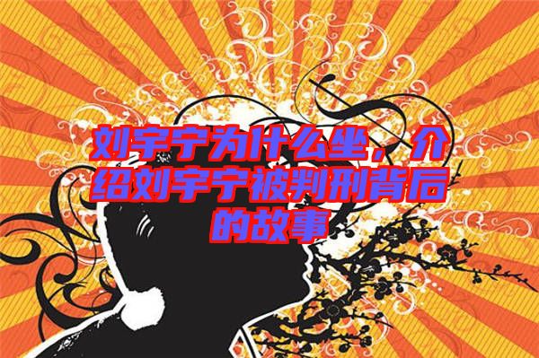 劉宇寧為什么坐，介紹劉宇寧被判刑背后的故事