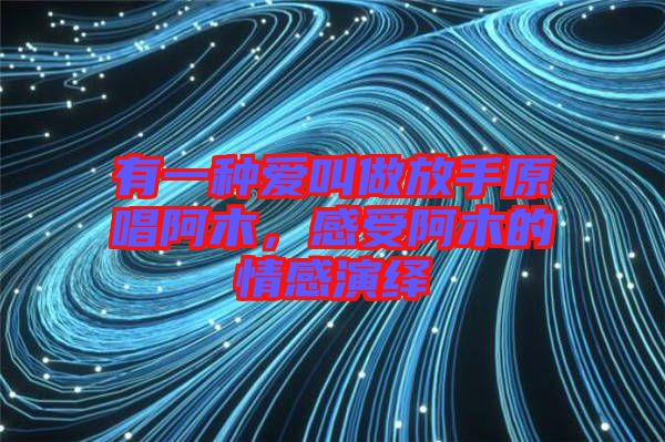 有一種愛叫做放手原唱阿木，感受阿木的情感演繹