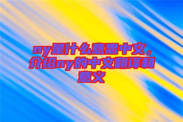 ny是什么意思中文，介紹ny的中文翻譯和意義