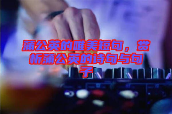蒲公英的唯美短句，賞析蒲公英的詩(shī)句與句子