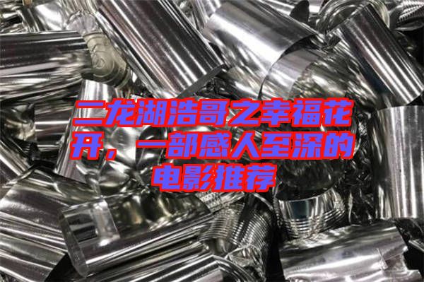 二龍湖浩哥之幸福花開(kāi)，一部感人至深的電影推薦