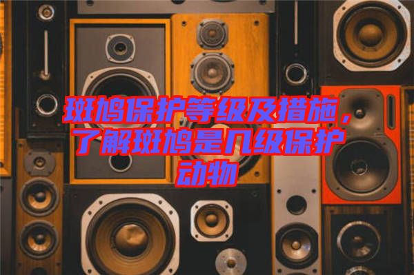 斑鳩保護等級及措施，了解斑鳩是幾級保護動物