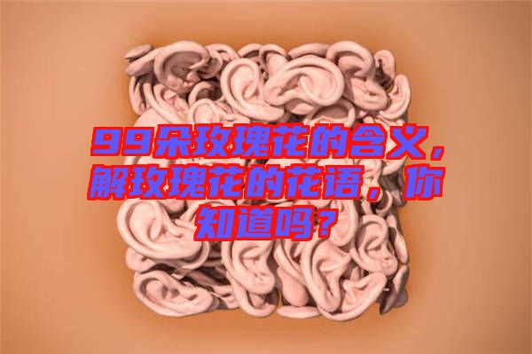 99朵玫瑰花的含義，解玫瑰花的花語(yǔ)，你知道嗎？