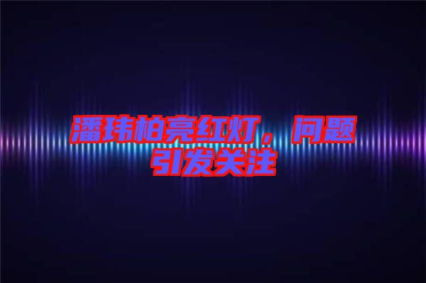 潘瑋柏亮紅燈，問題引發(fā)關注