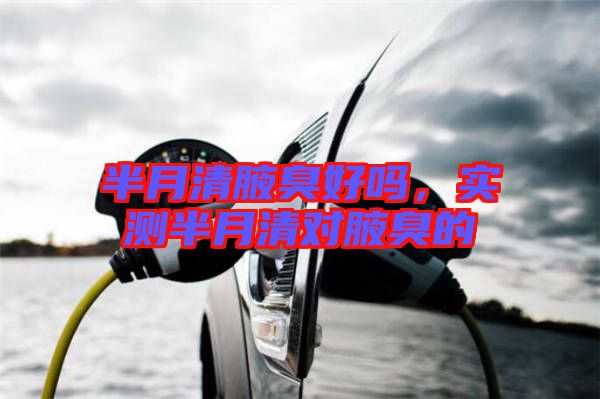 半月清腋臭好嗎，實測半月清對腋臭的