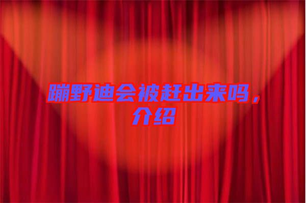 蹦野迪會(huì)被趕出來(lái)嗎，介紹