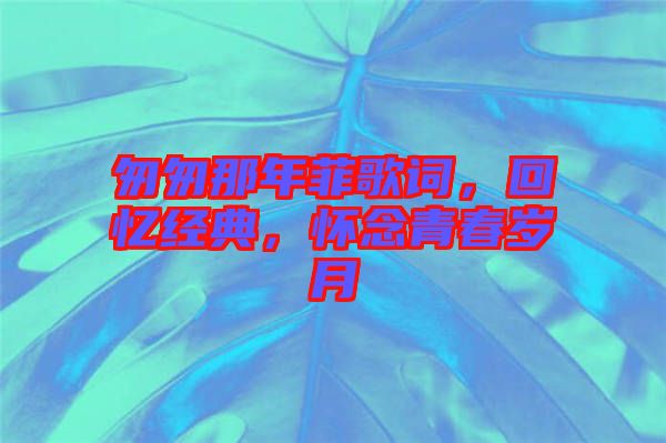 匆匆那年菲歌詞，回憶經(jīng)典，懷念青春歲月