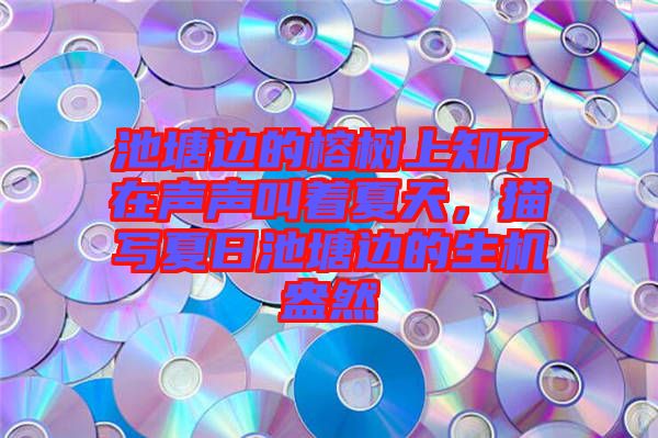 池塘邊的榕樹上知了在聲聲叫著夏天，描寫夏日池塘邊的生機(jī)盎然