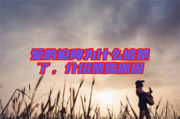 愛的迫降為什么被禁了，介紹禁播原因