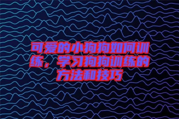 可愛的小狗狗如何訓練，學習狗狗訓練的方法和技巧