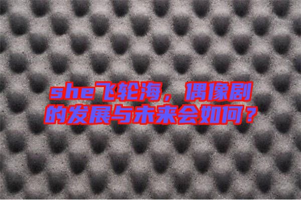 she飛輪海，偶像劇的發(fā)展與未來會如何？