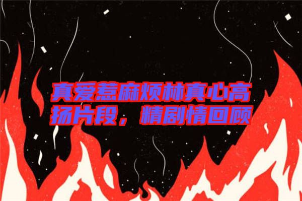 真愛惹麻煩林真心高揚片段，精劇情回顧