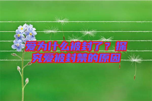 愛為什么被封了？探究愛被封禁的原因