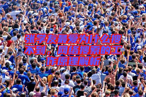 張學(xué)友最愛為什么搜不到，網(wǎng)絡(luò)搜索的工作原理解析
