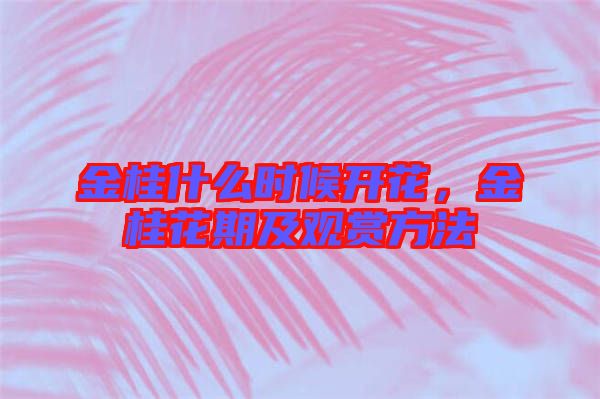 金桂什么時(shí)候開花，金桂花期及觀賞方法