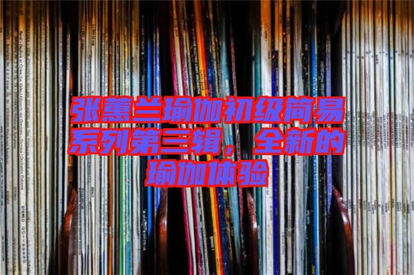 張蕙蘭瑜伽初級簡易系列第三輯，全新的瑜伽體驗