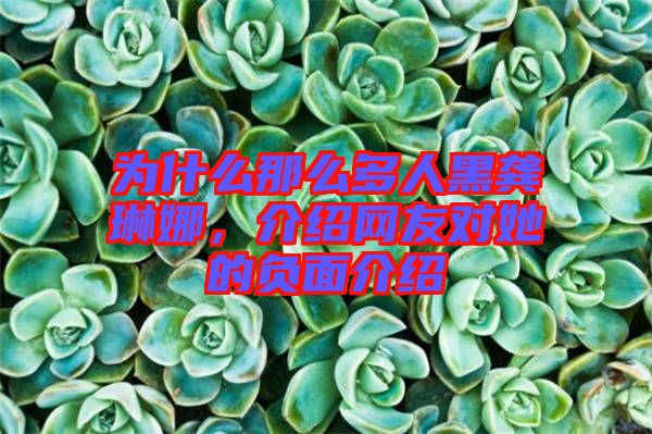為什么那么多人黑龔琳娜，介紹網(wǎng)友對(duì)她的負(fù)面介紹