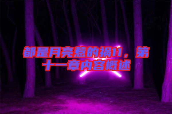 都是月亮惹的禍11，第十一章內(nèi)容概述