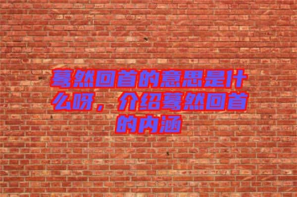 驀然回首的意思是什么呀，介紹驀然回首的內(nèi)涵