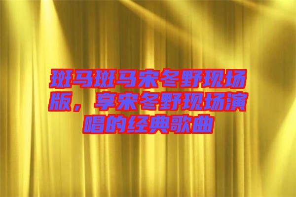 斑馬斑馬宋冬野現(xiàn)場版，享宋冬野現(xiàn)場演唱的經(jīng)典歌曲