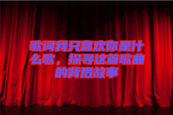 歌詞我只喜歡你是什么歌，探尋這首歌曲的背后故事