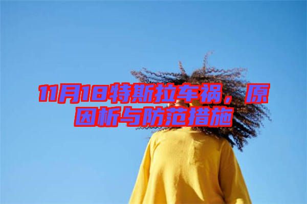 11月18特斯拉車禍，原因析與防范措施