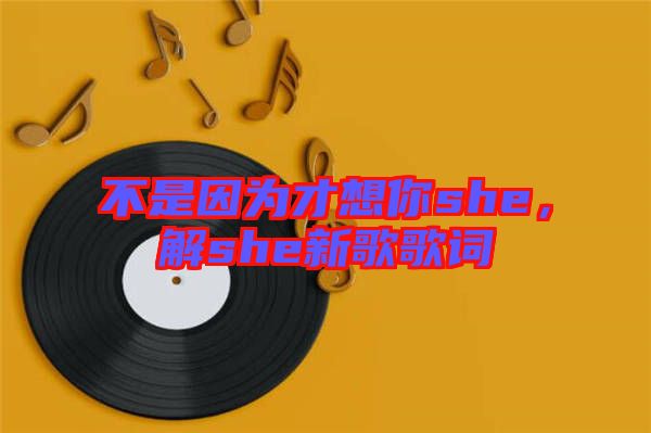 不是因為才想你she，解she新歌歌詞