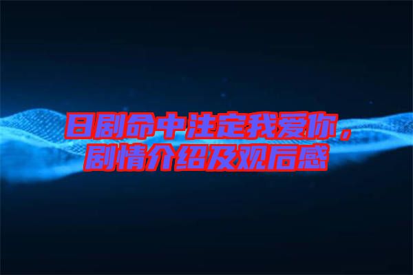 日劇命中注定我愛(ài)你，劇情介紹及觀后感