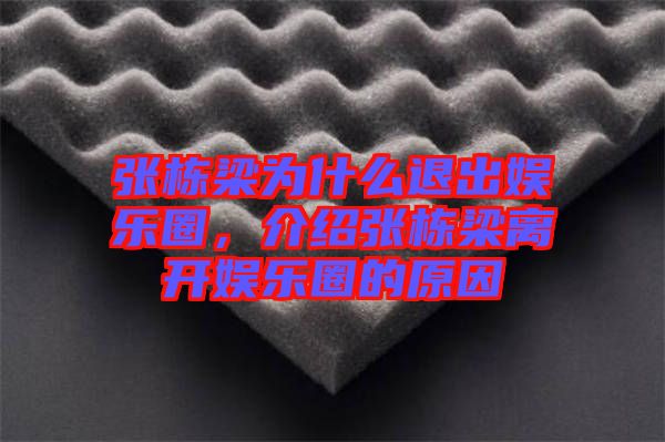 張棟梁為什么退出娛樂圈，介紹張棟梁離開娛樂圈的原因