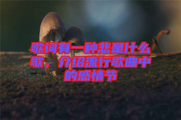 歌詞有一種悲是什么歌，介紹流行歌曲中的感情節(jié)