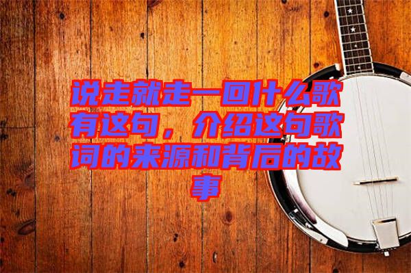 說走就走一回什么歌有這句，介紹這句歌詞的來源和背后的故事