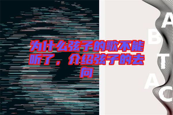 為什么弦子的歌不能聽了，介紹弦子的去向