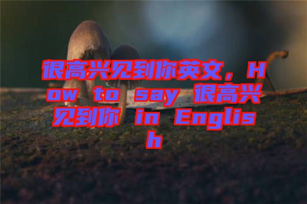 很高興見到你英文，How to say 很高興見到你 in English
