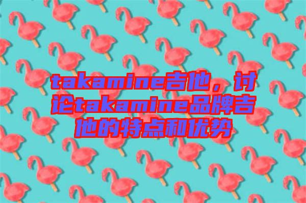 takamine吉他，討論takamine品牌吉他的特點和優(yōu)勢