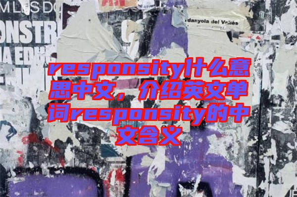 responsity什么意思中文，介紹英文單詞responsity的中文含義