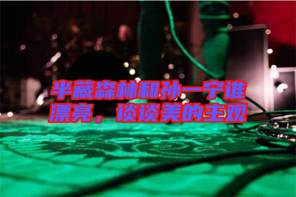 半藏森林和孫一寧誰(shuí)漂亮，談?wù)劽赖闹饔^