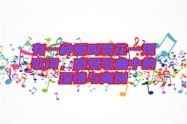有一種愛叫曇花一現(xiàn)歌詞，感受歌曲中的深情與離別