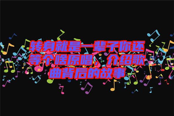 轉(zhuǎn)身就是一輩子你還等個啥原唱，介紹歌曲背后的故事
