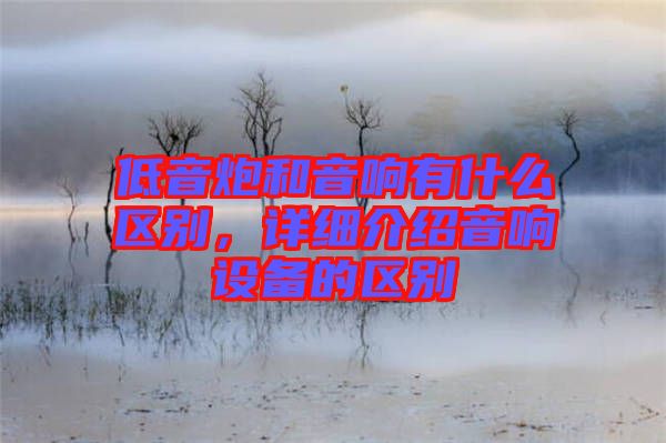 低音炮和音響有什么區(qū)別，詳細(xì)介紹音響設(shè)備的區(qū)別