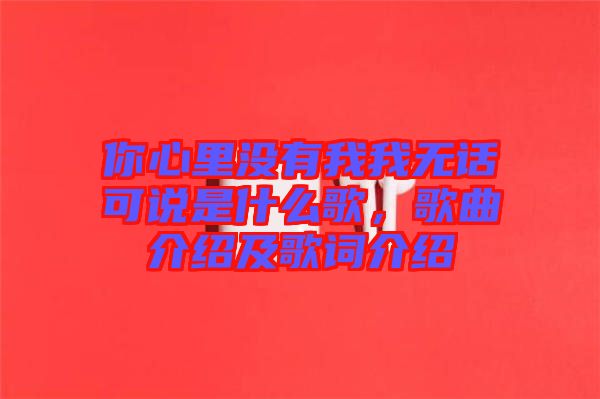 你心里沒有我我無話可說是什么歌，歌曲介紹及歌詞介紹