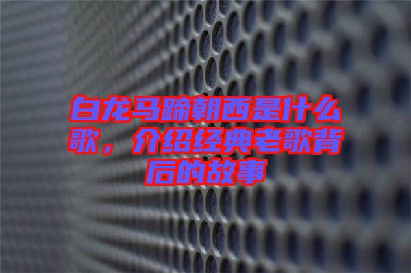 白龍馬蹄朝西是什么歌，介紹經(jīng)典老歌背后的故事