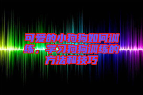 可愛的小狗狗如何訓(xùn)練，學(xué)習(xí)狗狗訓(xùn)練的方法和技巧